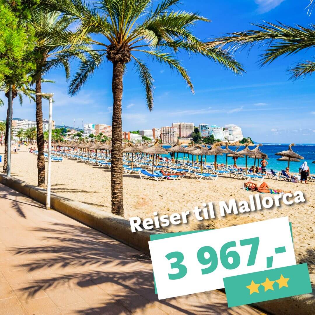Badeferie på Mallorca – Bestill reisen din til neste år fra 3 967,-